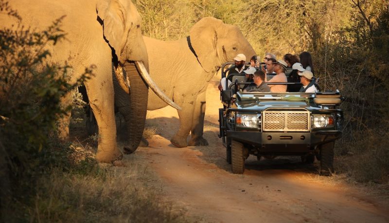 Info - Karongwe - River Safari Lodge