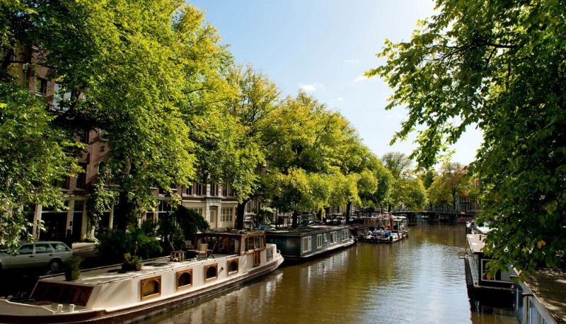 Omgeving - Goudbloemstraat Area Apartments