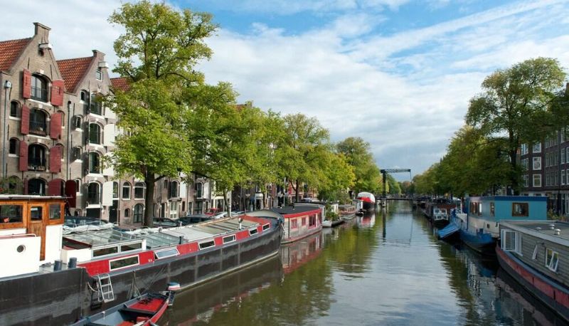Omgeving - Goudbloemstraat Area Apartments