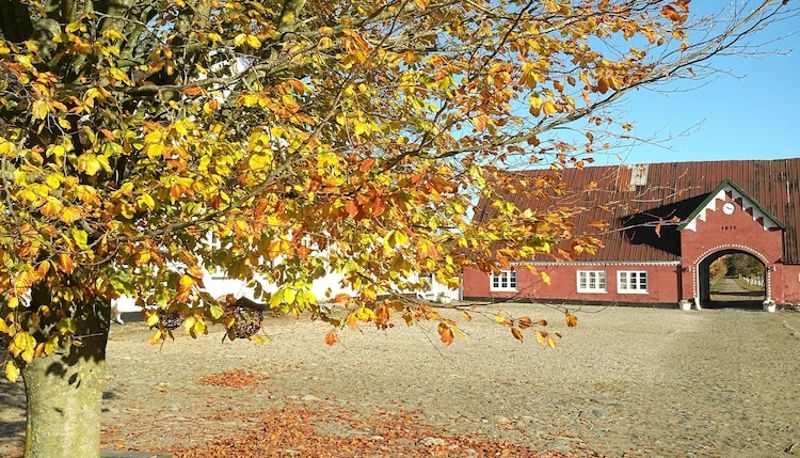 Budgetkamer (eenpersoons) - Holtegaard Bed & Breakfast