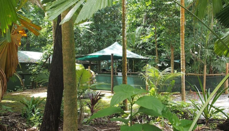 Piscina - Daintree Crocodylus