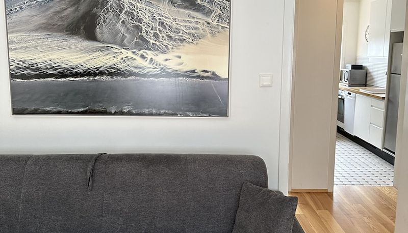 Info - Reykjavík Central Apartments