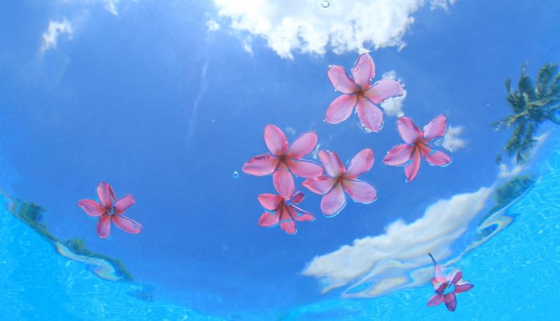 Zwembad - Coco Garden Resort Okinawa