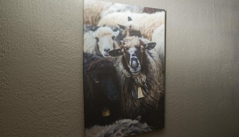 Info - Oppdal Gjestetun Hotell