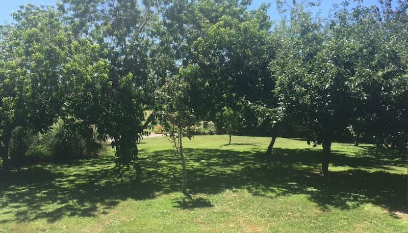 Garten - Lake Karapiro Lodge