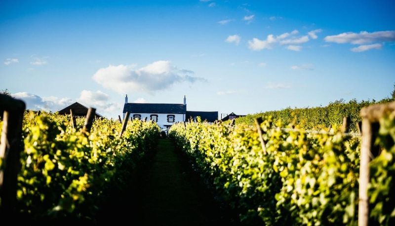 Extérieur de l'hôtel - Llanerch Vineyard Hotel