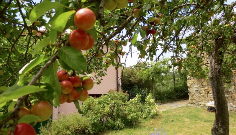 Garten - Borgata Castello