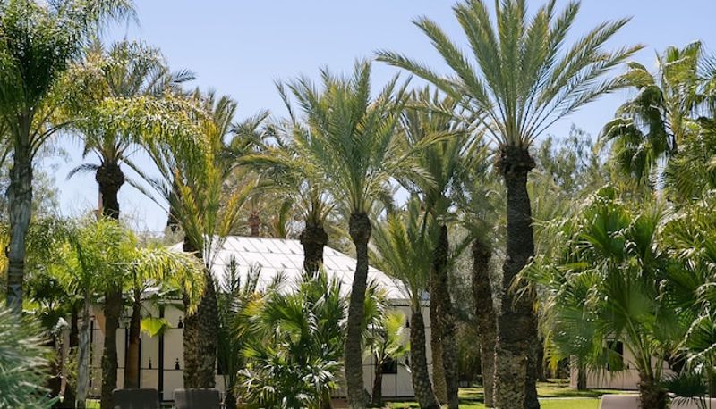 Piscine - Lodge K Hôtel & Spa