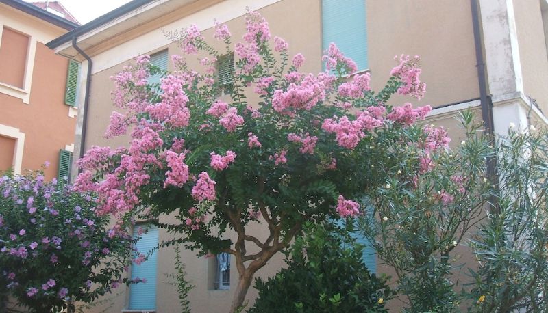 Info - B&B Accorsi