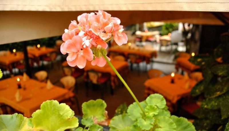 Restaurant - Hotel Ristorante Fiorentino
