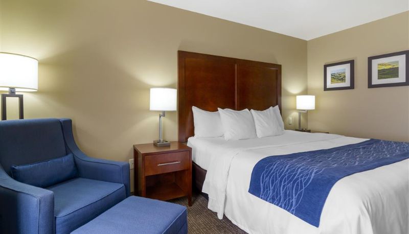 Zimmer - Comfort Inn & Suites Mandan - Bismarck