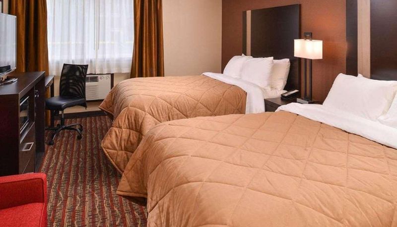 Room - Quality Inn & Suites Tacoma - Seattle