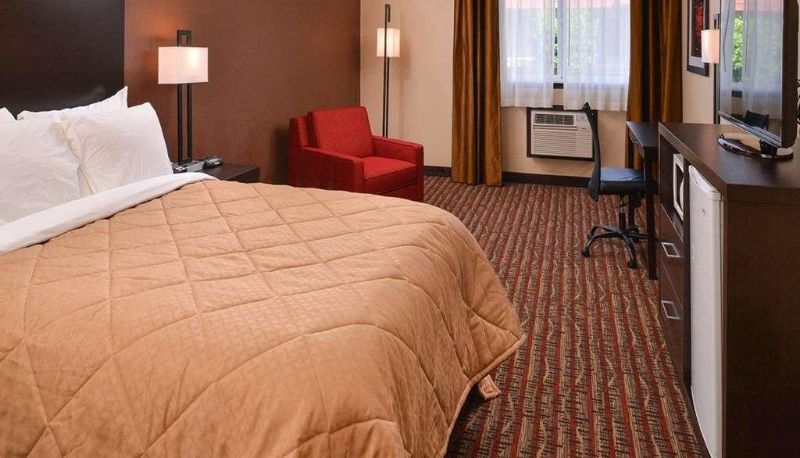 Standard room (double) - Quality Inn & Suites Tacoma - Seattle