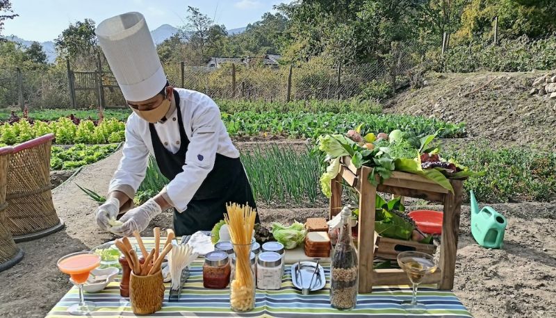 Restaurante - Paatlidun Safari Lodge