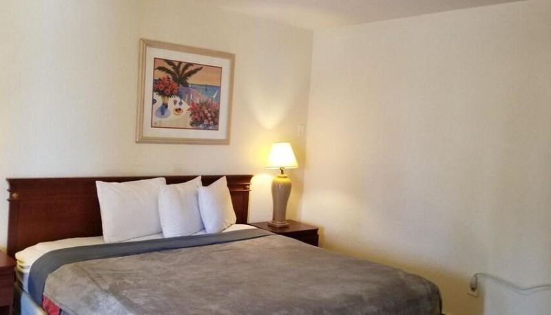 Standard room - Deluxe Inn Motel