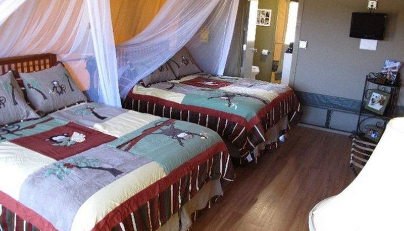 Habitación - Vision Quest Safari Bed and Br
