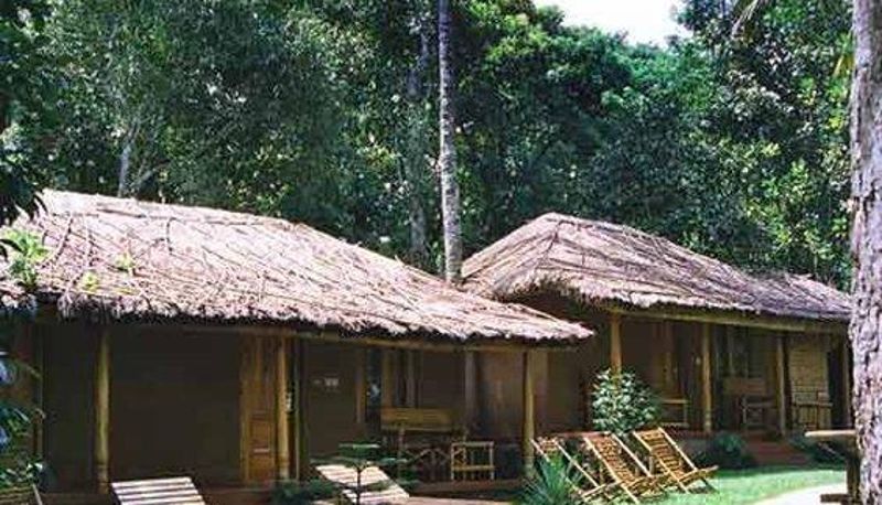 Informacje - Saj Jungle Village Thekkady
