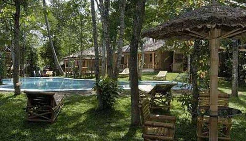 Informacje - Saj Jungle Village Thekkady