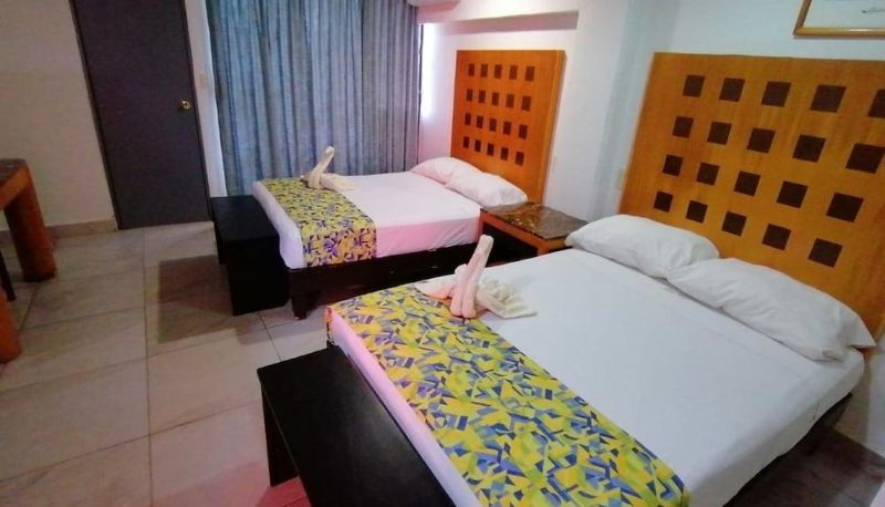 Appartement - HOTEL ZIAMI