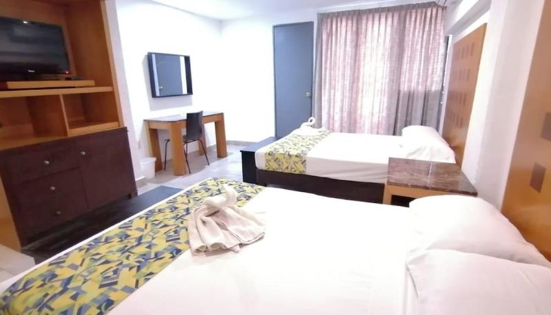 Appartement - HOTEL ZIAMI