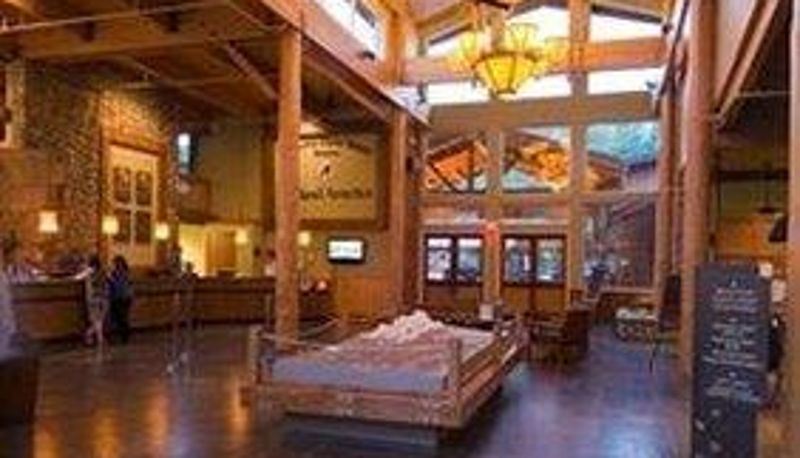 Lobby - MCKINLEY CHALET RESORT