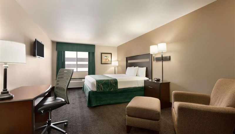 Pokój - Travelodge by Wyndham Santa Teresa