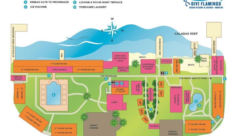 Info - DIVI FLAMINGO BEACH RESORT CASINO