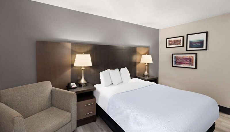 Room - La Quinta Inn & Suites by Wyndham Goodlettsville - Nashville