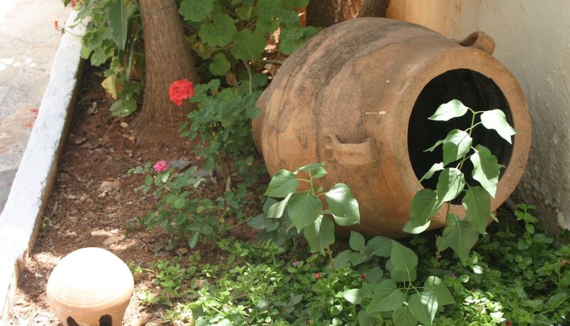 Jardin - Eliza Hotel