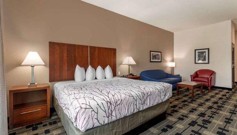 Camera - Best Western Plus Big Lake Inn