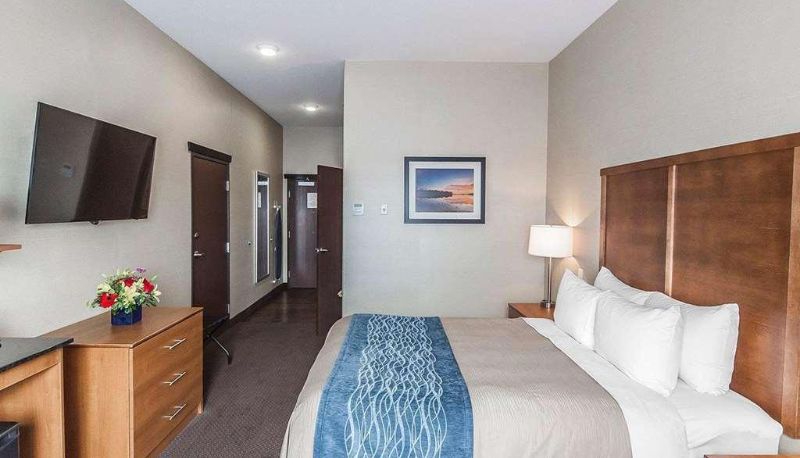 Camera standard (doppia) - Comfort Inn & Suites