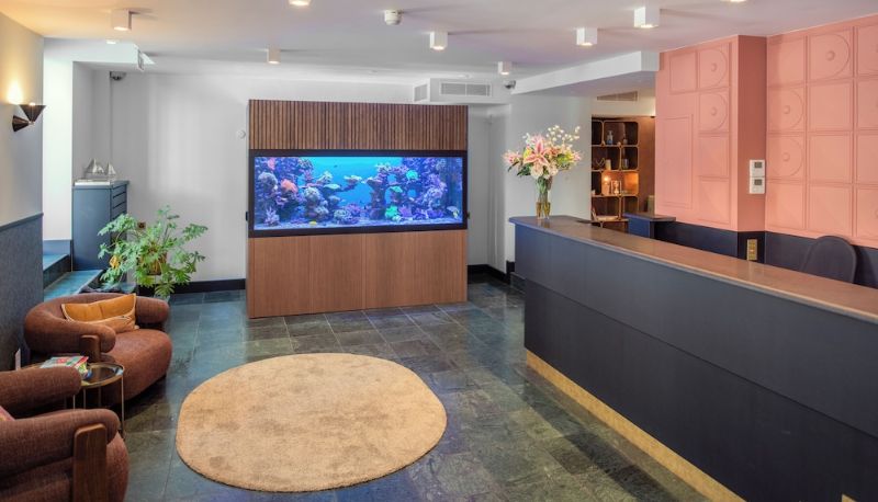Réception - The Pax Hotel Garni