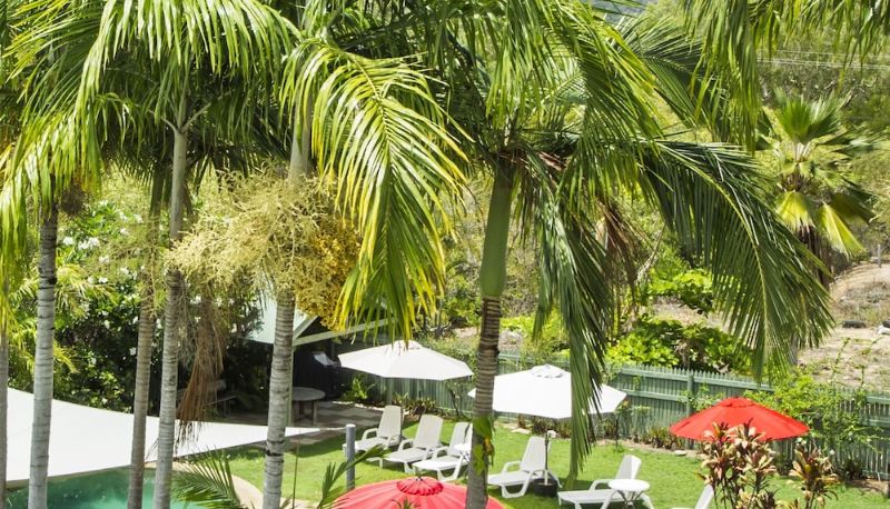 Piscina - Magnetic Sunsets Resort