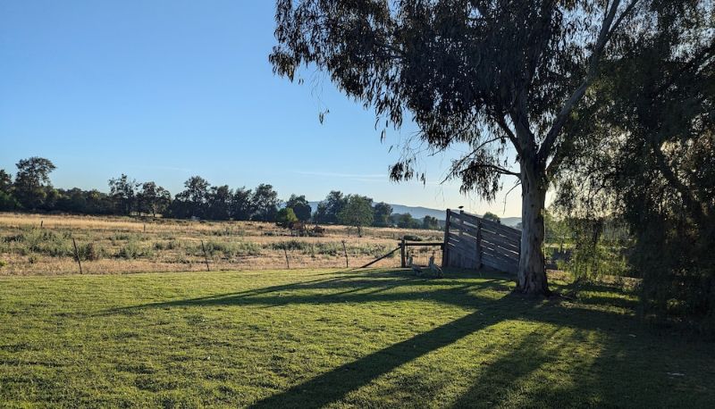 Bahçe - The Cudgee at Mudgee