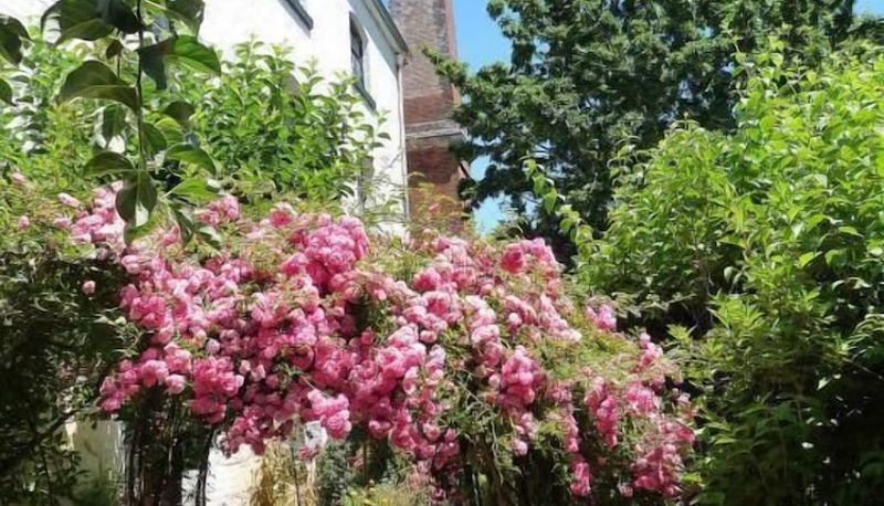 Giardino - Bowerbank Mill B&B