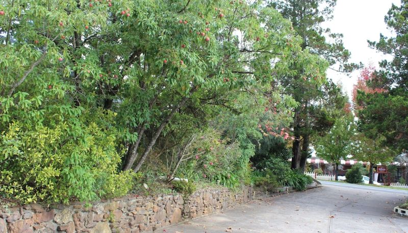 Jardin - High Mountains Motor Inn