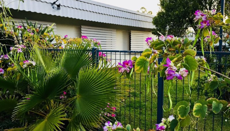 Tuin - Balonne River Motor Inn