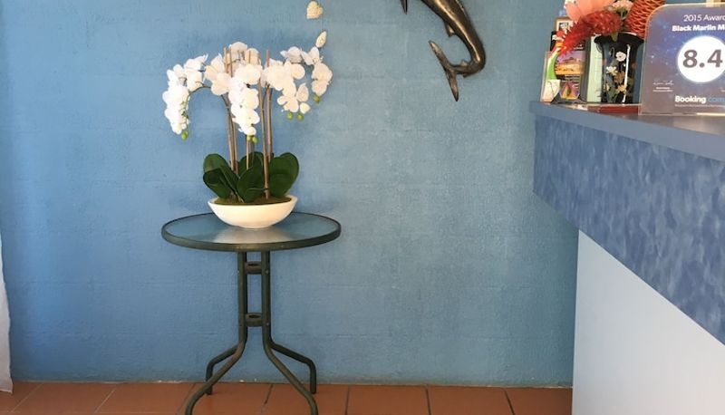 Rezeption - Black Marlin Motel