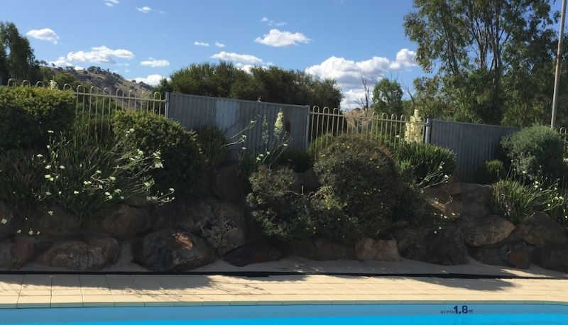 Pool - Tuckerbox Motor Inn