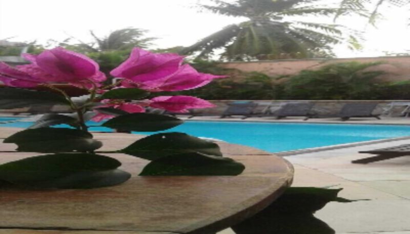 Bar - Hotel Iparana Paradise