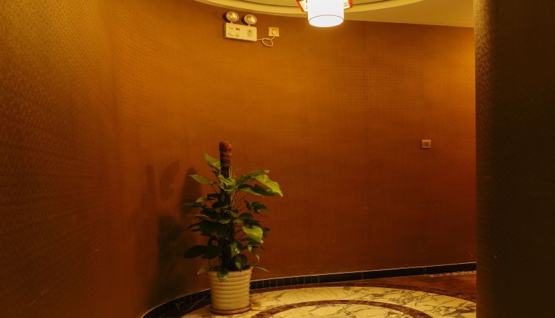 Hotel Außenbreich - Olive Tree Holiday Hotel (Beijing Xizhihe Branch)
