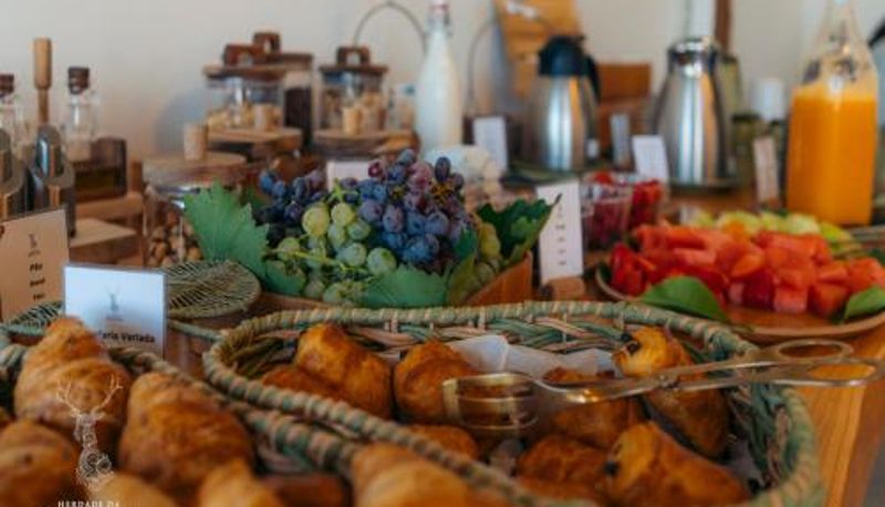 Sala prima colazione all'interno del ristorante - Herdade da Rocha - Boutique Lodge