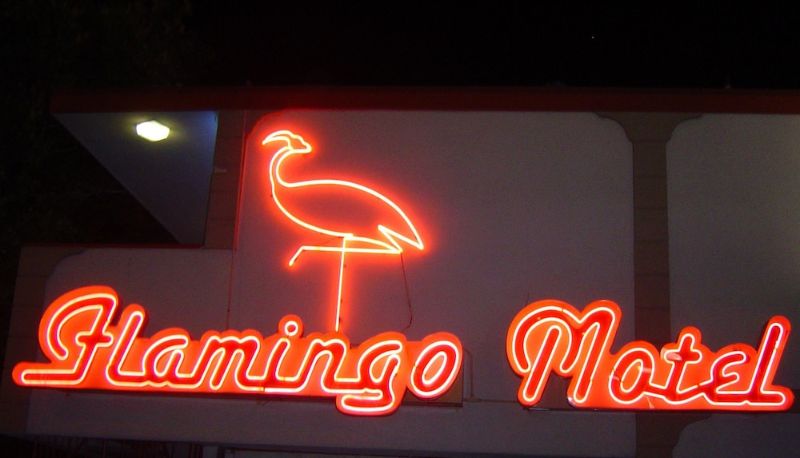 Informacje - The Flamingo Motel