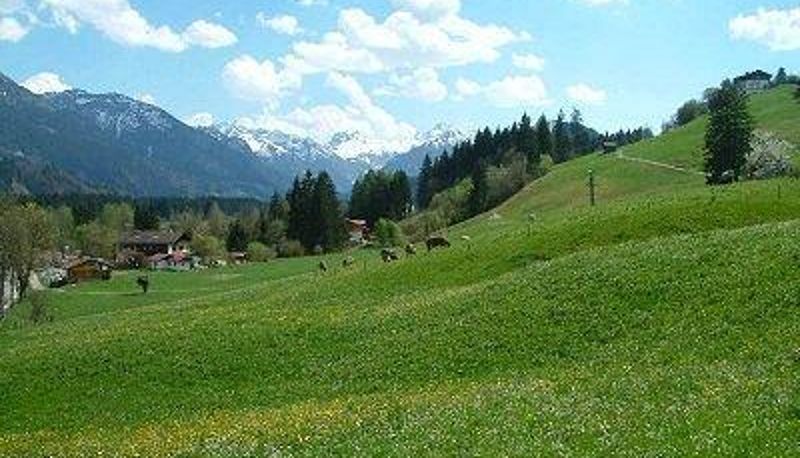Info - HOTEL FORELLENBACH