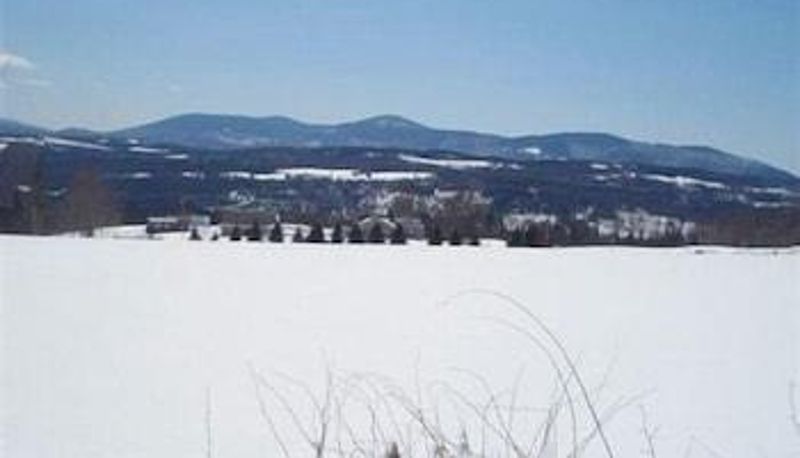 Dintorni - Notch View Inn