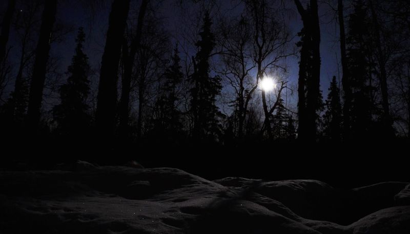 Info - Talkeetna Chalet