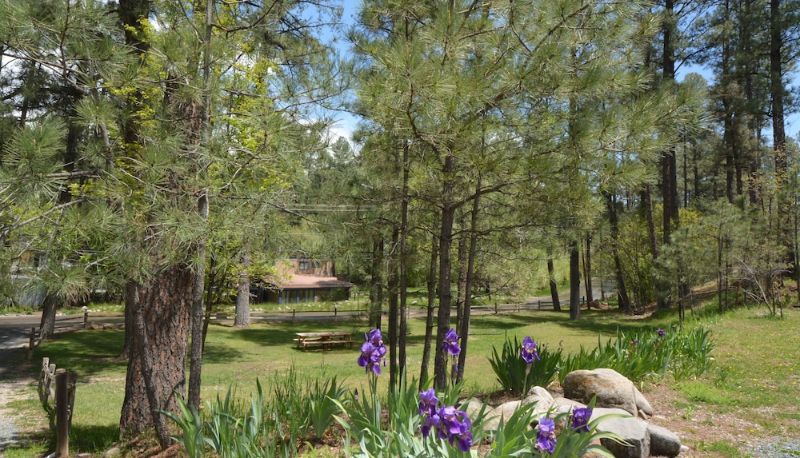 Garden - Upper Canyon Inn & Cabins