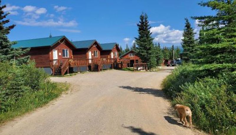 Camera standard - Alaskan Spruce Cabins