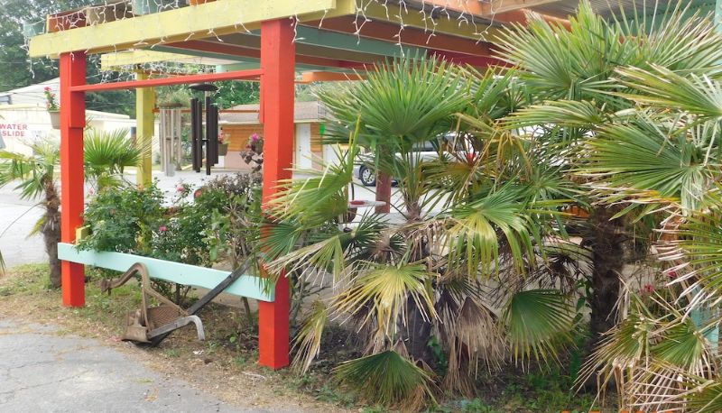 Garten - Little Shamrock Motel A1