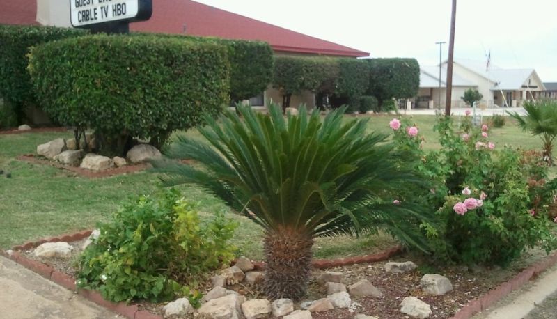 Çevre - Royal Inn Pearsall